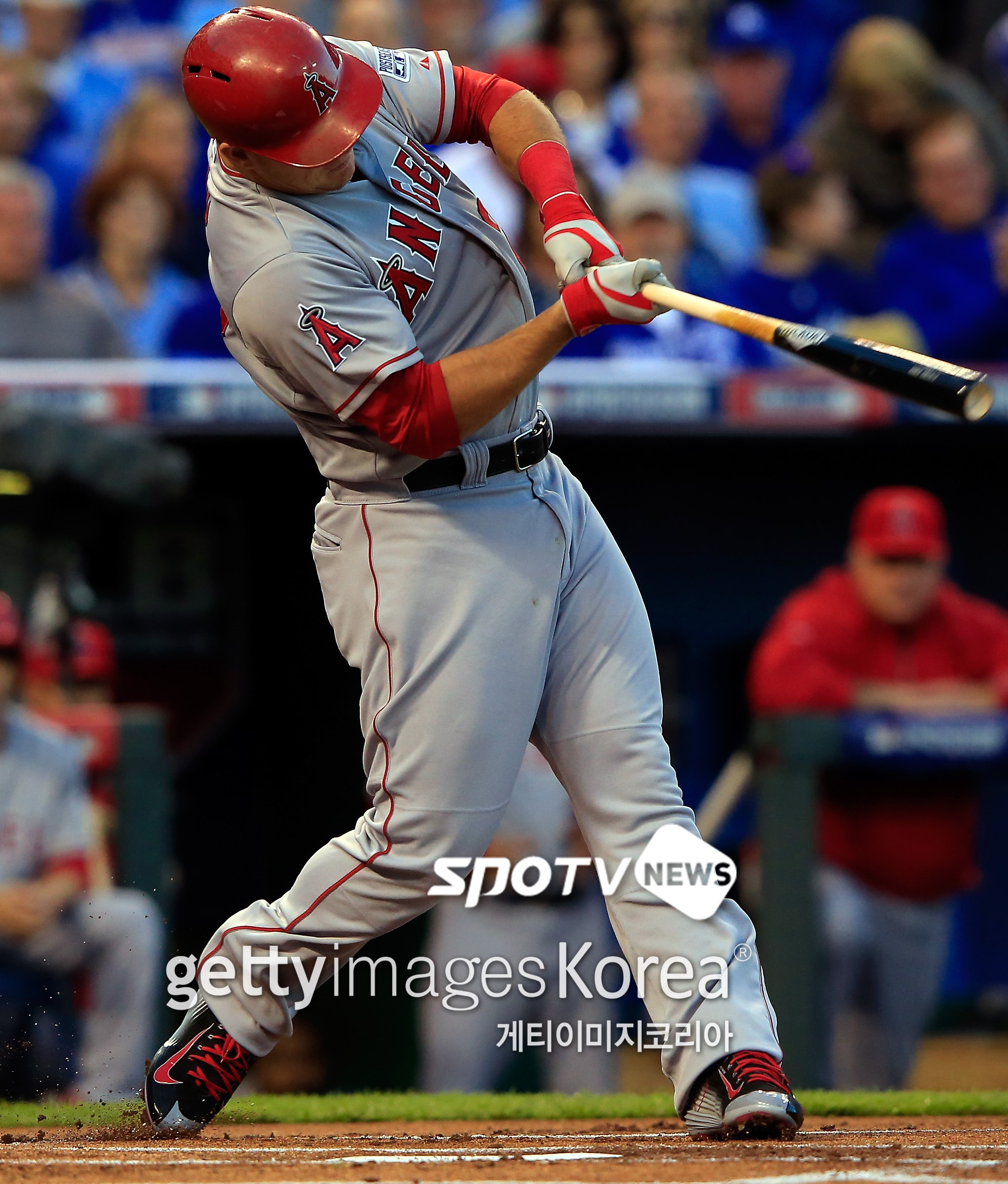 올 시즌 주목해야 할 MLB '다섯 명의 별'