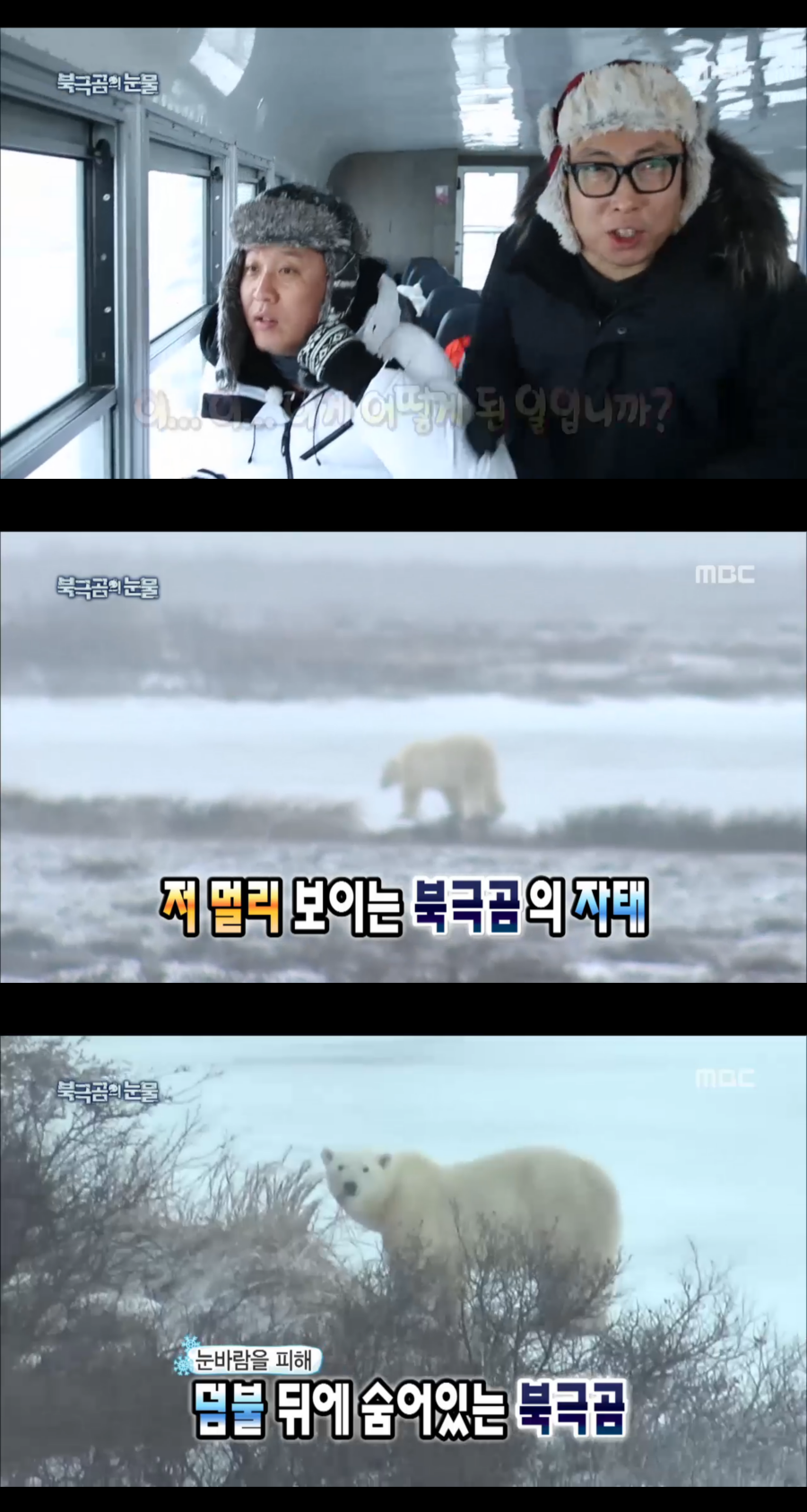 '무한도전' 박명수, 북극곰 보고 흥분 "진짜 야생 북극곰이다"