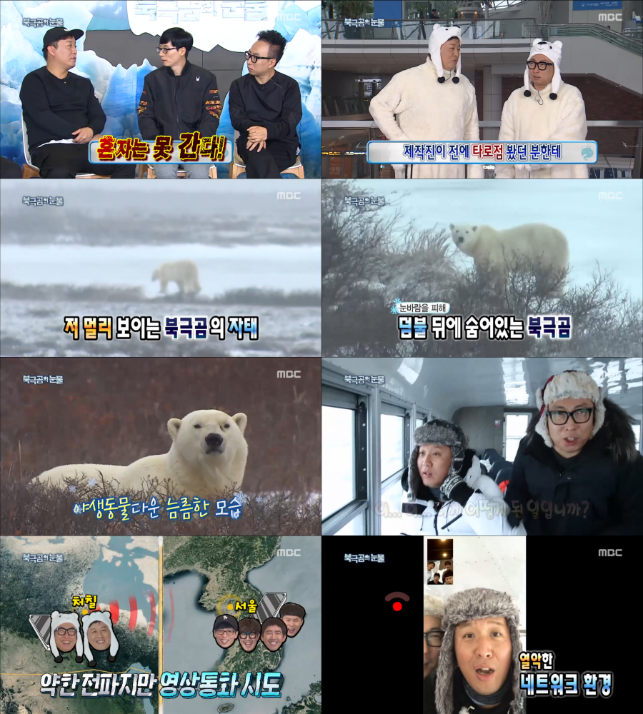 '무도' 정준하X박명수, 야생 북극곰에 빠지다…교감은 이제부터(종합)