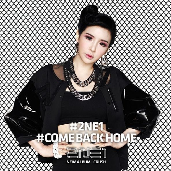 [이슈S] 박봄, '피눈물'에 비유한 2NE1 해체-무산된 복귀