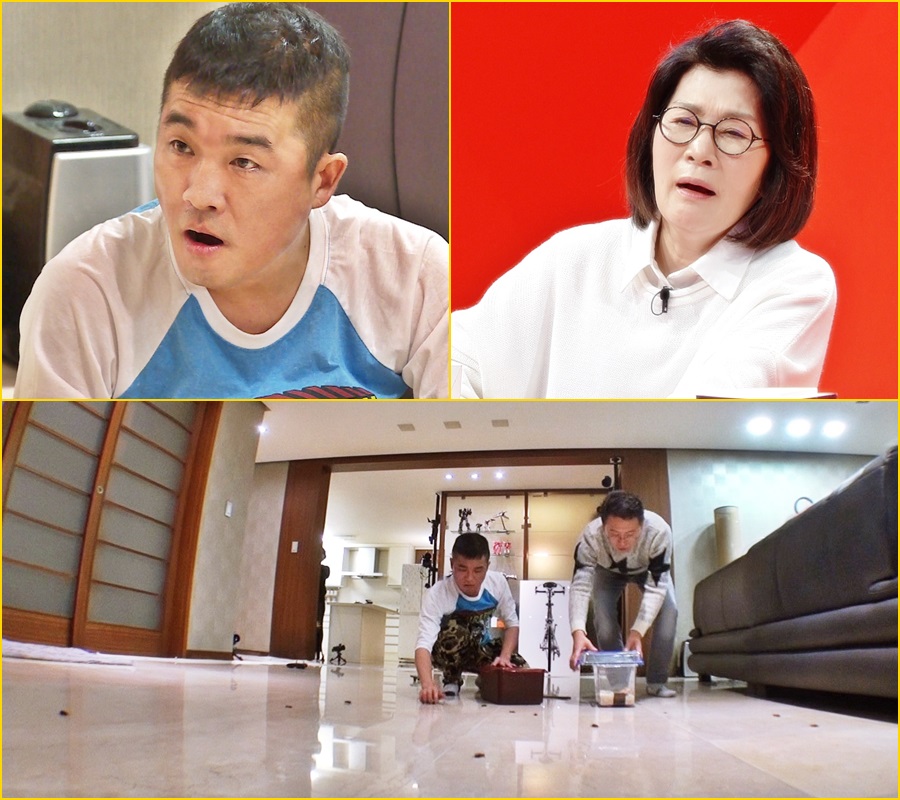 '미우새' 김건모, 귀뚜라미 습격에 속수무책 당해 '폭소'