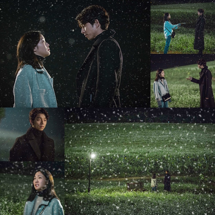 '도깨비' 공유-김고은, 메밀꽃밭 물들인 애틋한 눈빛