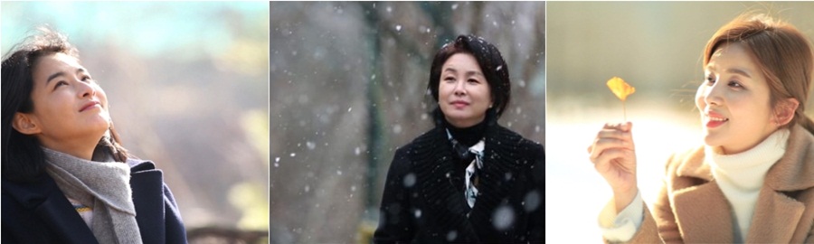 '힐링다큐-나무야 나무야' 강혜정-김미숙-박솔미, 숲으로 떠난 사연은?
