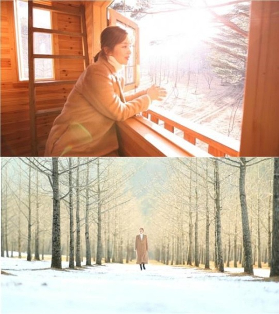 [오늘뭐볼까 KBS] 30일 '나무야 나무야'-'신드롬맨'-'화랑'