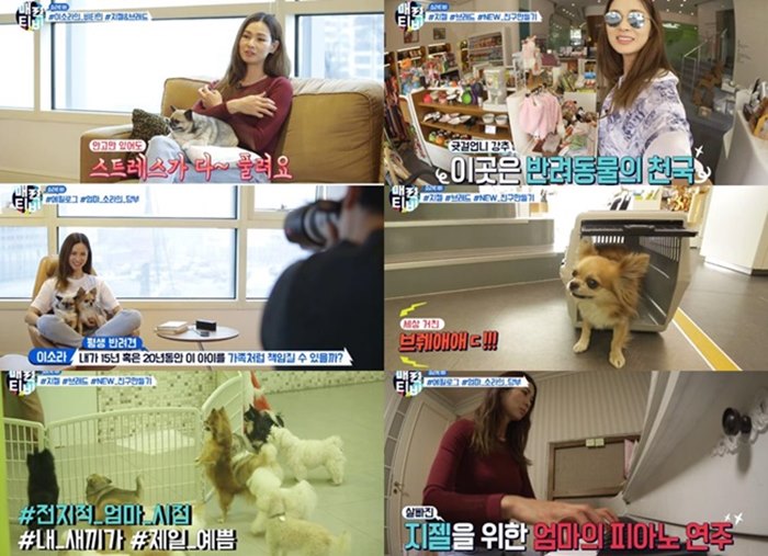 '매력티비' 이소라 "힘들 때 반려견 안으면 스트레스 다 풀려"