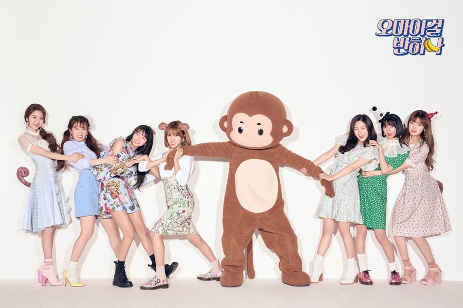 '콘셉트 요정' 오마이걸 반하나, 8월 日 정식 데뷔
