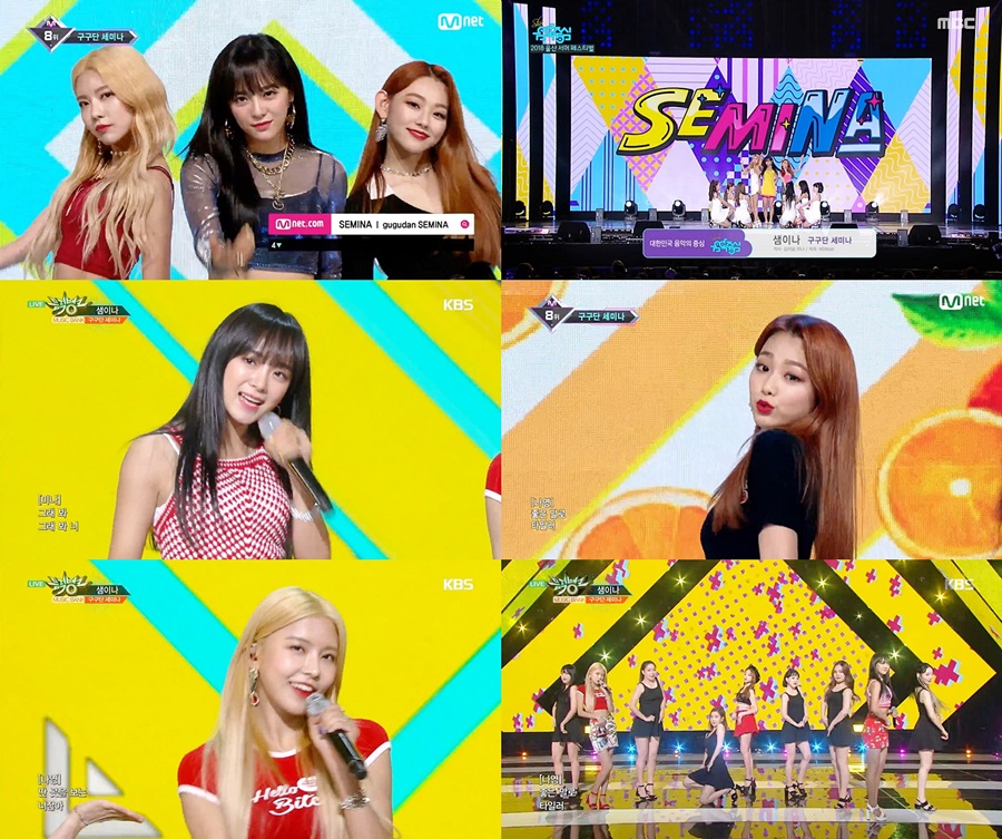구구단 세미나 "정말 행복했던 시간, 좀 더 성장했어요" 막방 소감