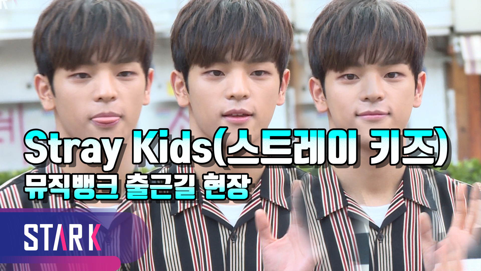 [영상] 이른 아침 미소 짓게 하는 스트레이키즈X골든차일드X빅플로