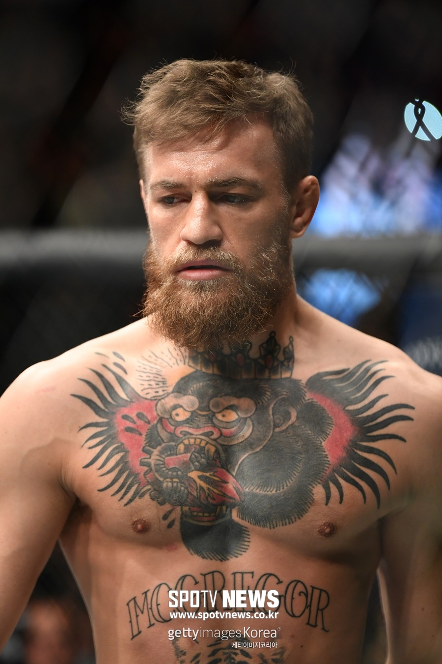 [UFC] 맥그리거 "하빕 타격 무시한 게 패인…실수 반복 없다"