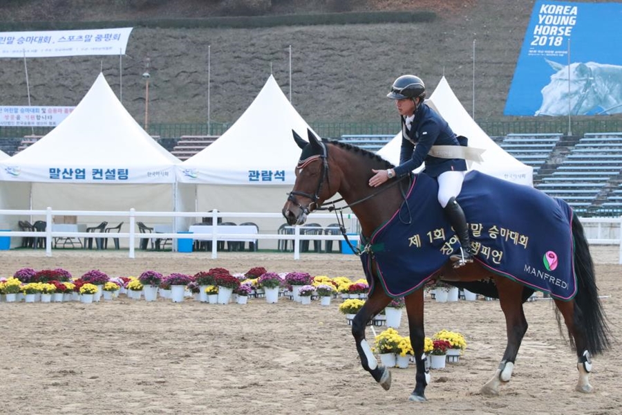 한국마사회, 승마단 재창단…2월 1일부터 운영