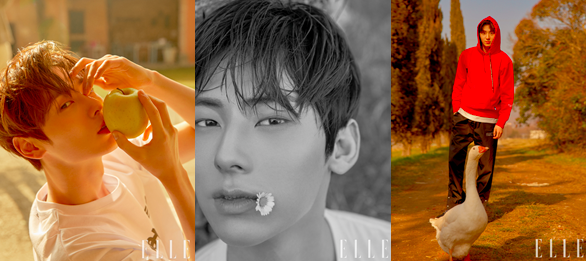 '화보장인' 황민현, 성숙미 뽐내며 여심저격…'청떽커' 별명 입증