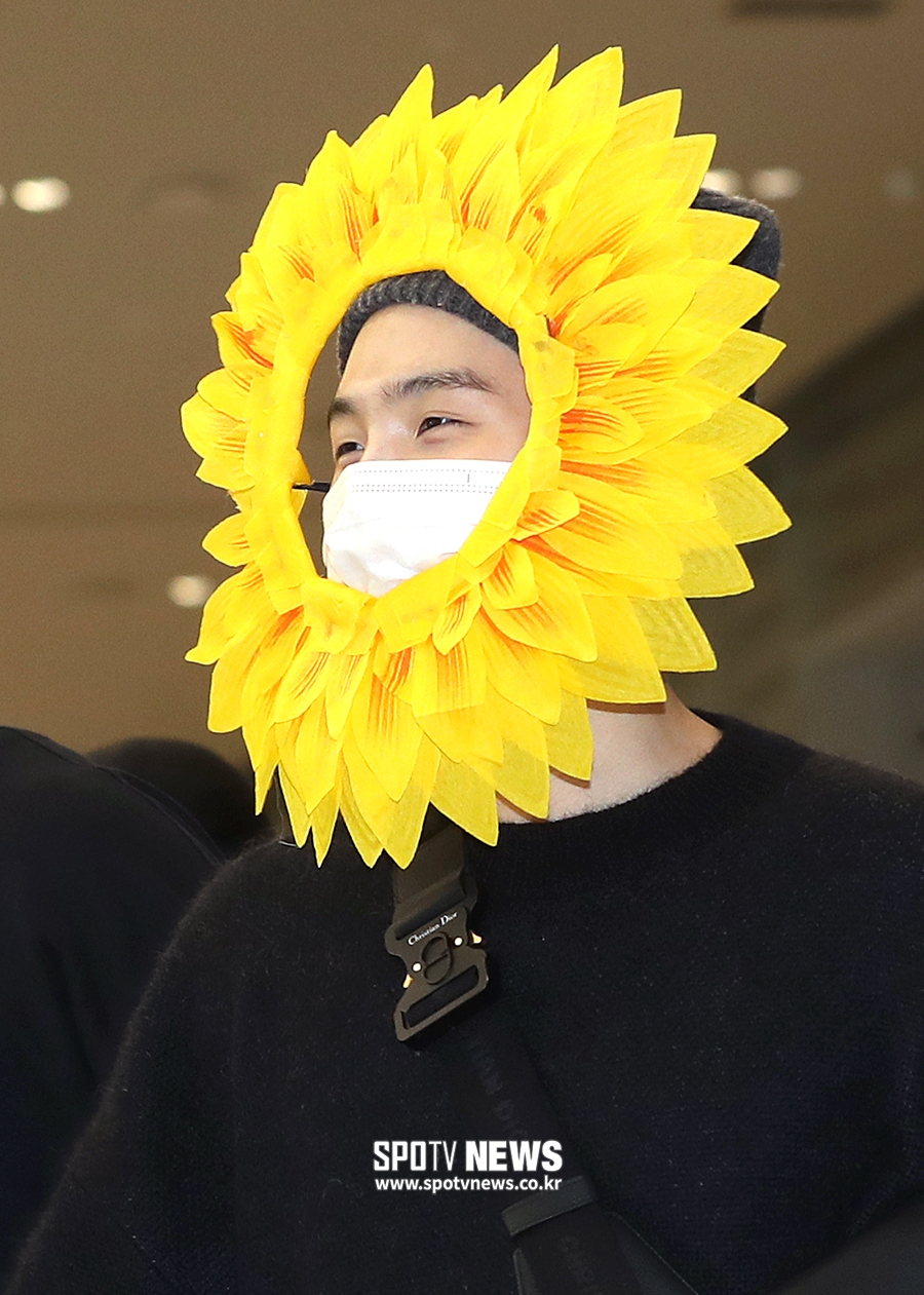 [포토S] 해바라기 슈가