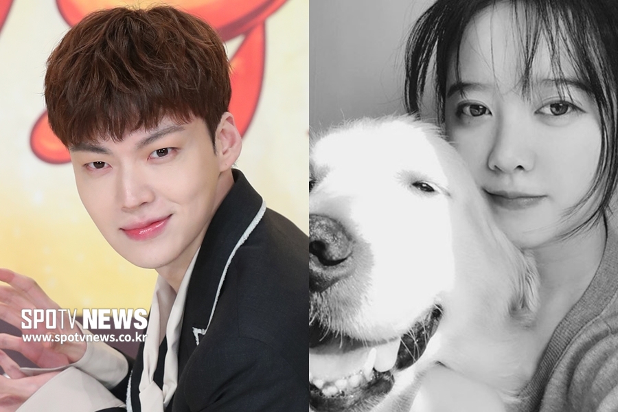 같은 파경, 다른 행보…구혜선은 기부, 안재현은 후폭풍[종합]