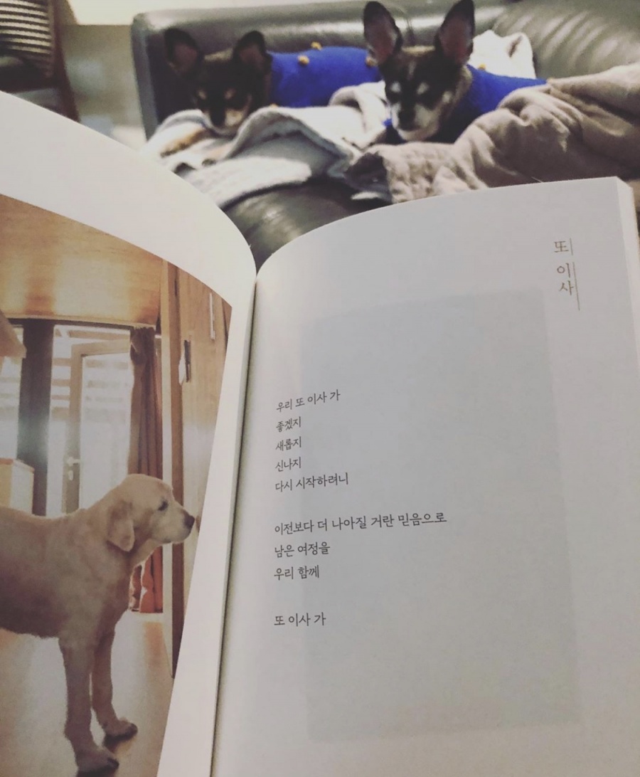 "신나지, 다시 시작하려니"…구혜선, 책 일부 공개? 무슨 의도일까[종합]