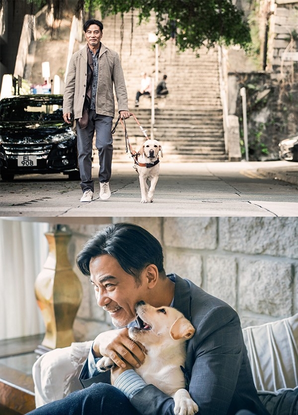 '내한' 임달화, 건강한 모습으로 무대인사…피습·홍콩시위 언급無