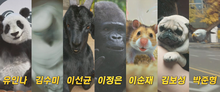 유인나X김수미X이선균X이정은 '미스터 주' 더빙 라인업 공개