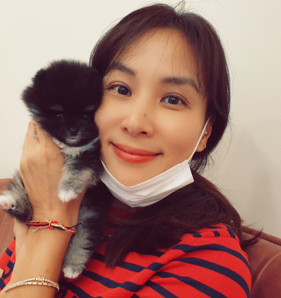 고소영, 펫숍분양 의심에 친절하고도 단호한 해명 "저도 애견인, 바른방법 찾을것"[종합]