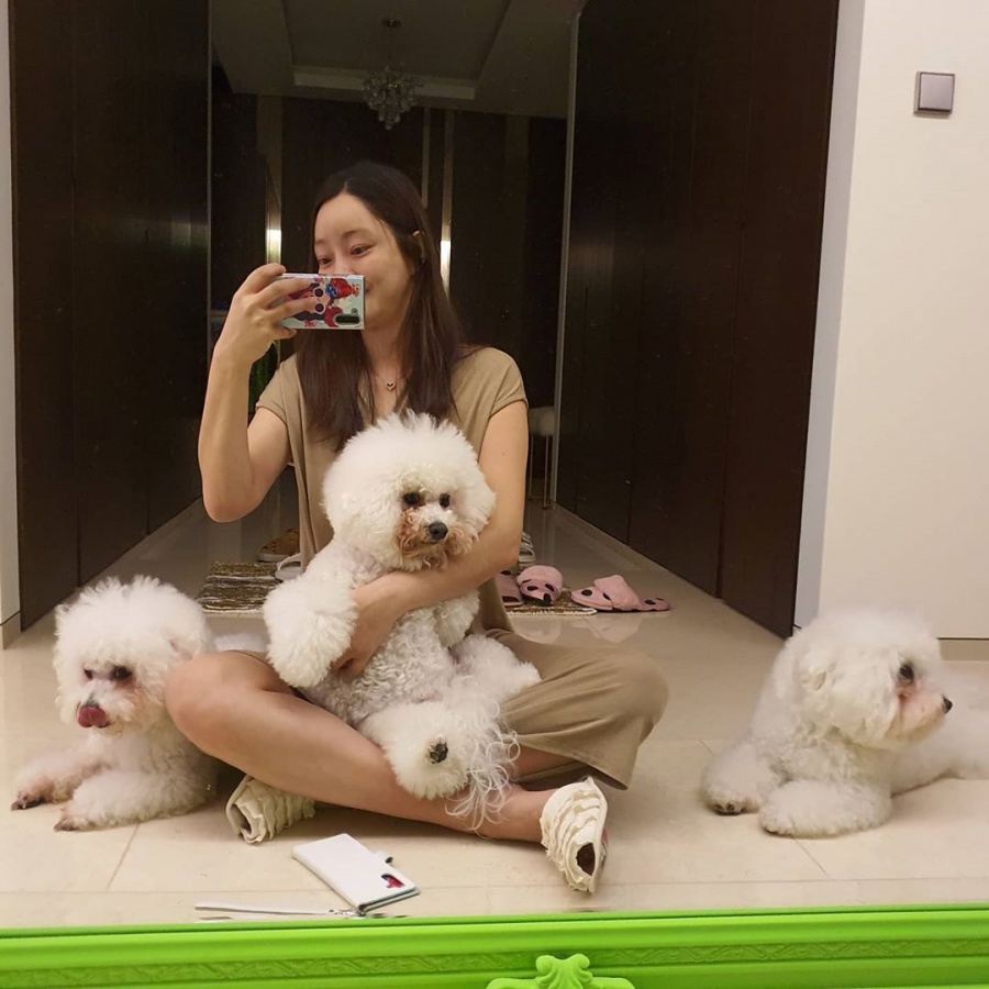 서효림, 이러니 힘들지…개 6마리·신생아 동시에 돌보는 초보엄마 근황