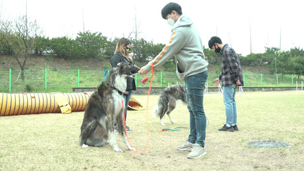씨티칼리지 산하 씨티평생교육원, 국내 첫 '피어프리' 프로그램 론칭
