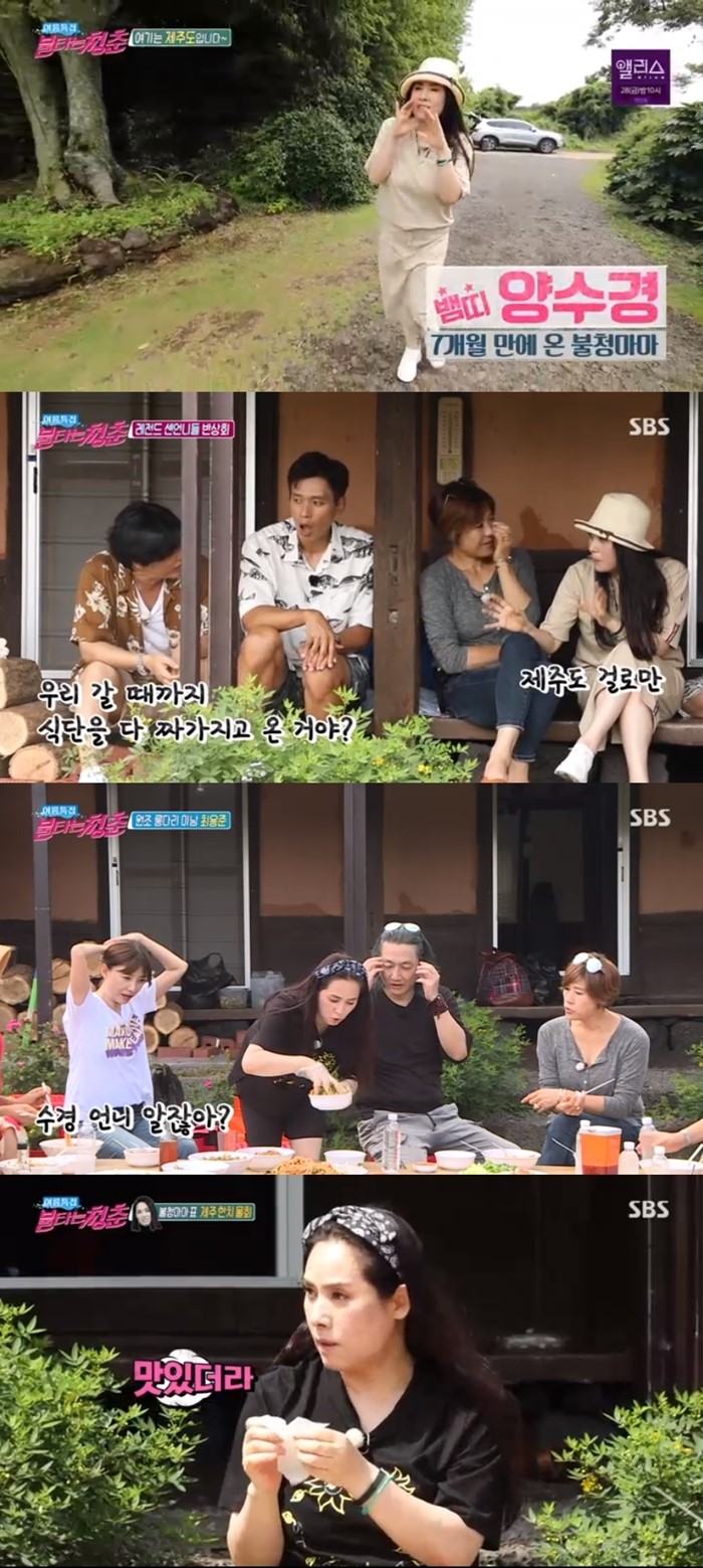 '불청마마' 양수경, 제주 한치물회로 요리실력 뽐냈다