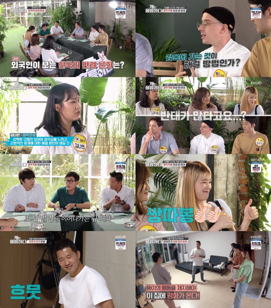 "개물림사고에 견주 최대 3년형" '개훌륭'배 개정상회담 '끝장토론'[TV핫샷]