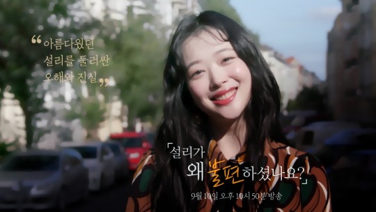 故설리 친오빠, 설리 친구 저격했다 사과…"친구 맞냐"→"음란 행동"