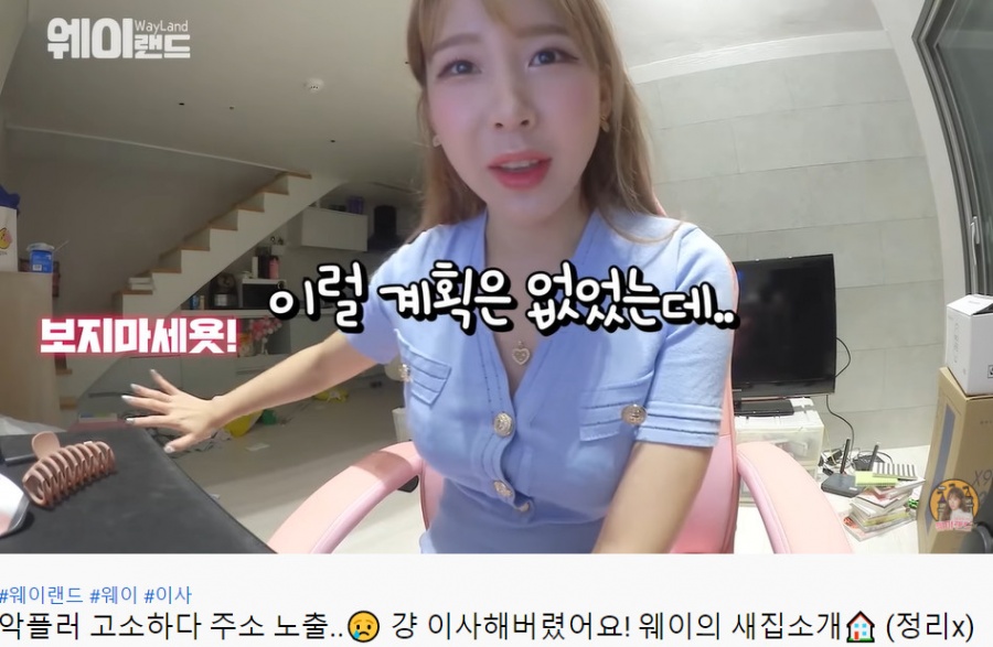 "악플러 고소중 주소 노출"…크레용팝 웨이 "법원이 알려, 불안에 떨며 이사"[종합]