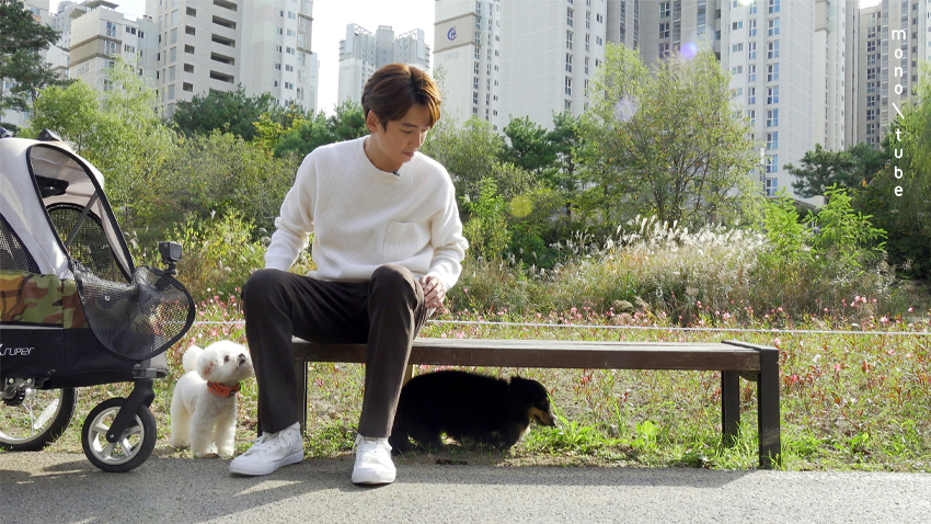 정경호 "♥수영과 강아지 같이 키워"…이름 한 자씩 따서 '호영이'로 작명