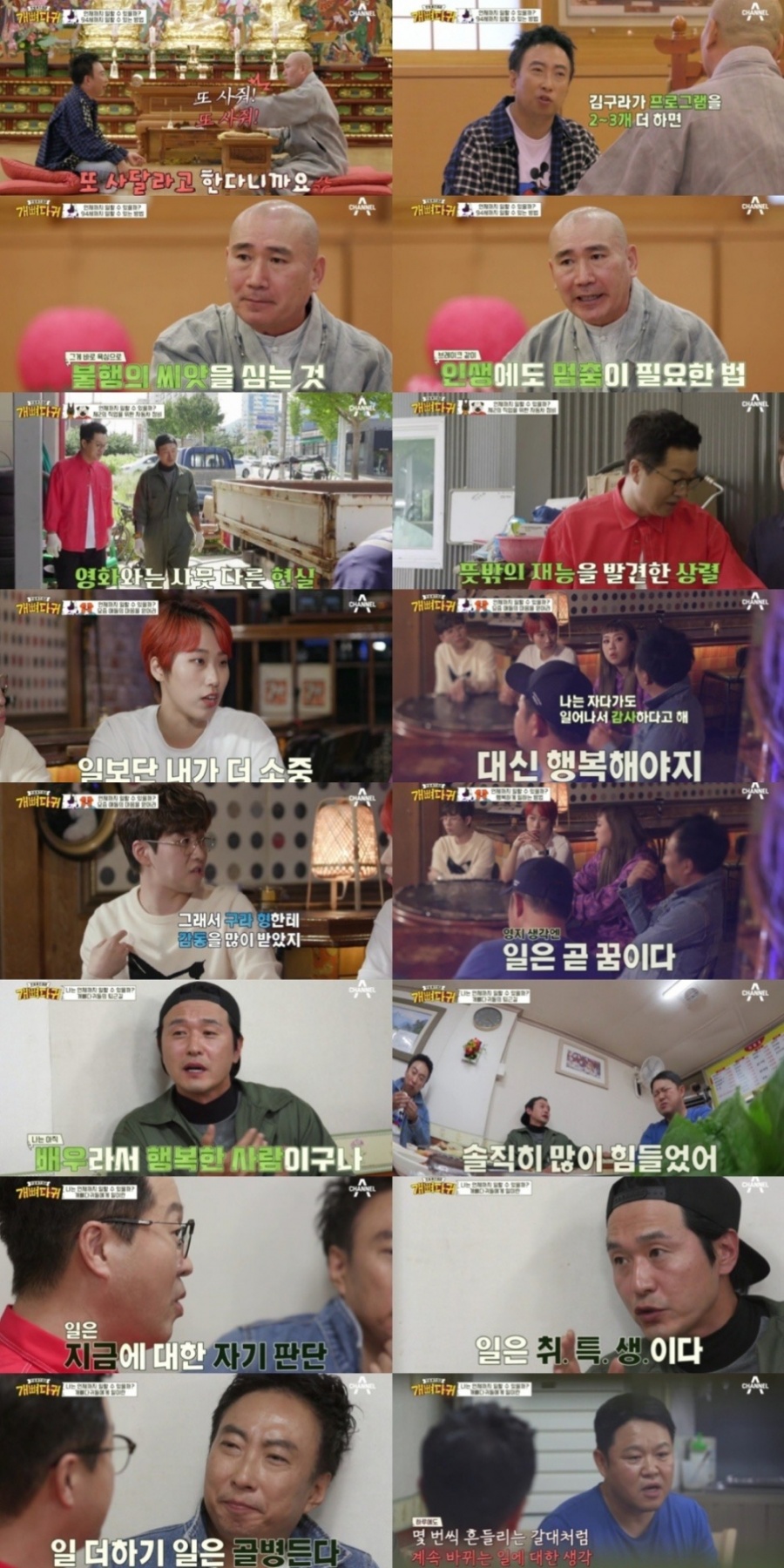 '개뼈다귀'  50살 개띠 4인의 일과 행복이란? #축복 #갈대 #골병 #취특생[TV핫샷]