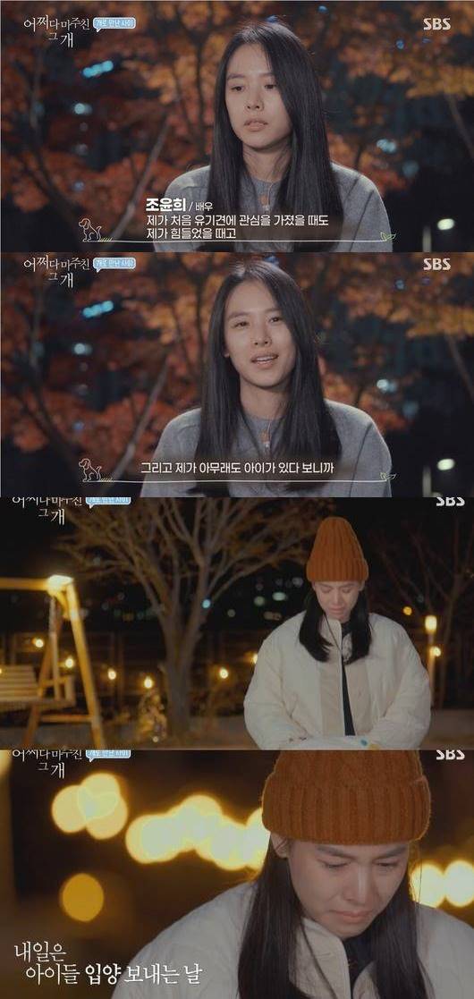 '어쩌개' 조윤희, 이혼 심경 "아이만 키워 고민, 힘들때 유기동물에 관심"[종합]