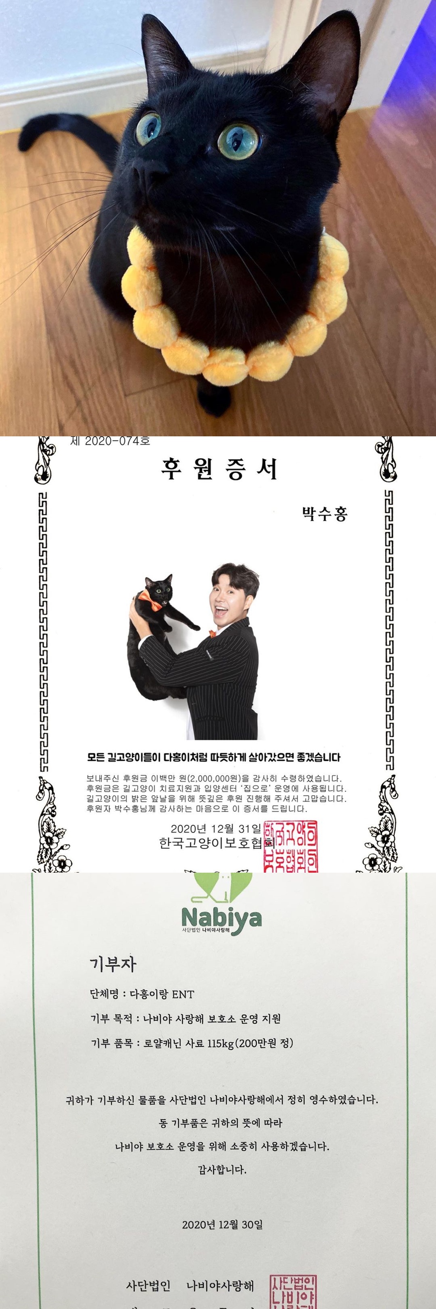 박수홍, 반려묘 달력 수익금 기부 "동물 안락사 영상 보고 꿈 생겼다"