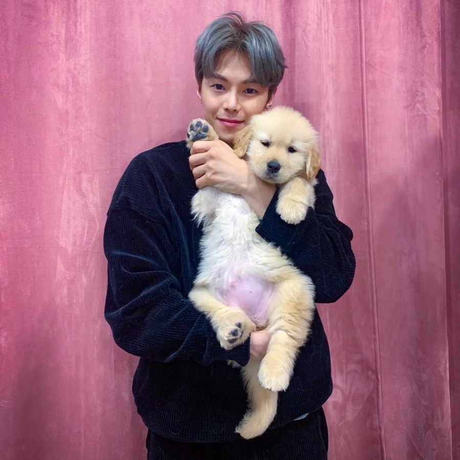 박은석‧고소영-조승우‧이기우…반려동물 공개로 갈린 명암