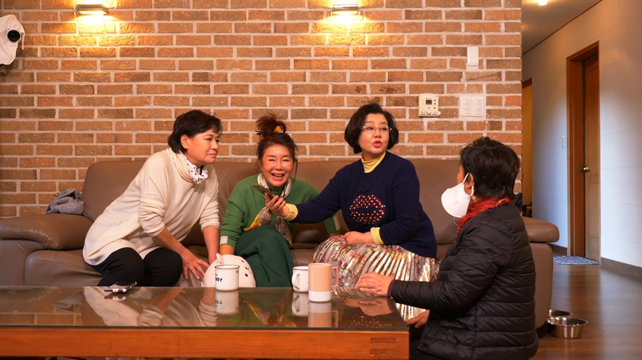 이영하-선우은숙 "박원숙 덕분에 재회 결심"('같이 삽시다')
