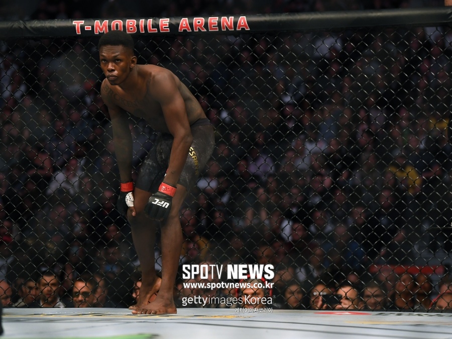 UFC 미들급 챔피언 아데산야, 라이트헤비급 타이틀전 판정패…20연승 끝
