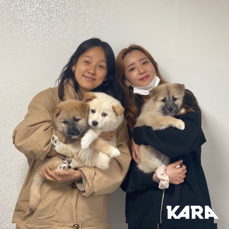 이효리, 윤보미·공민정과 떠돌이 강아지들 품었다…이름은 '싹쓰리'