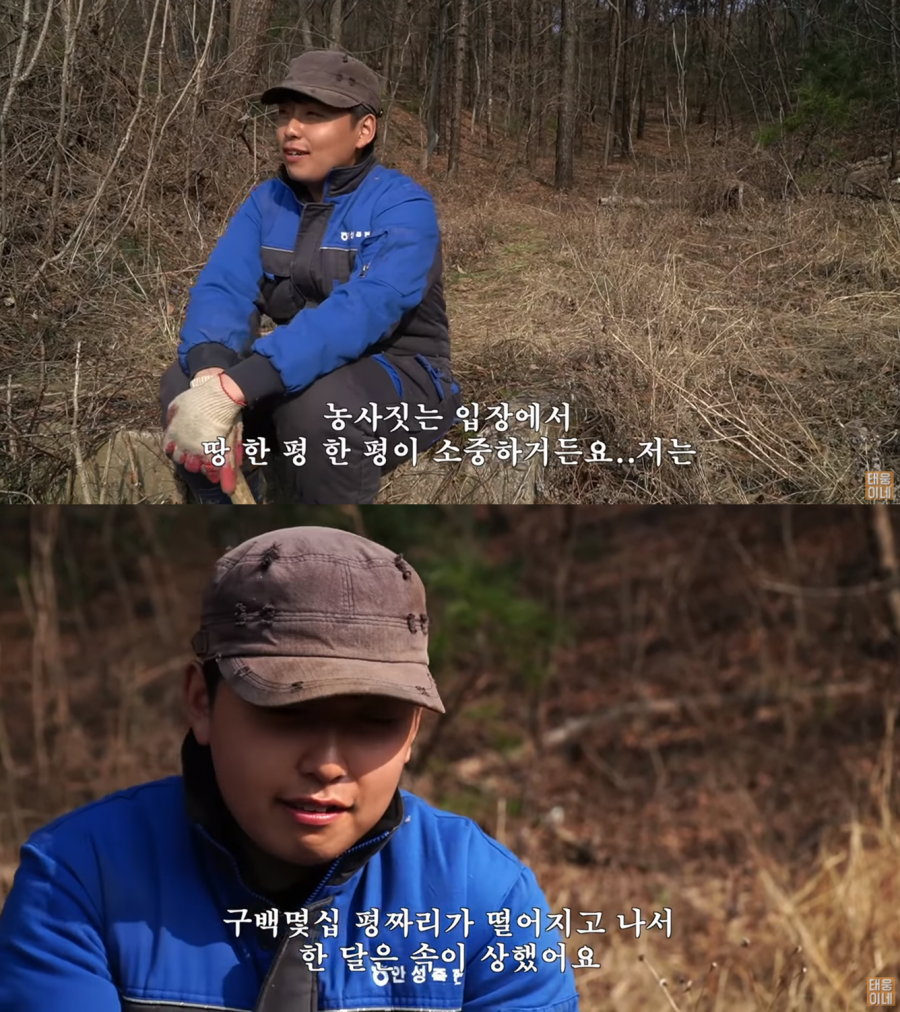 '소년 농부' 한태웅, 900평 논 떼여 시름시름→3000평 소개받았다(태웅이네)