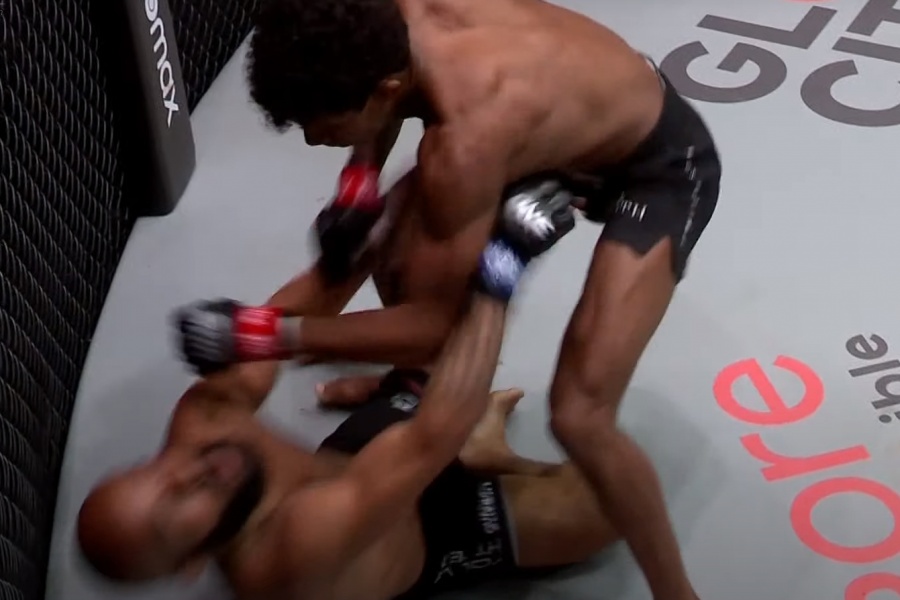전 UFC 챔프 드미트리우스 존슨, 첫 실신 KO패 '충격'