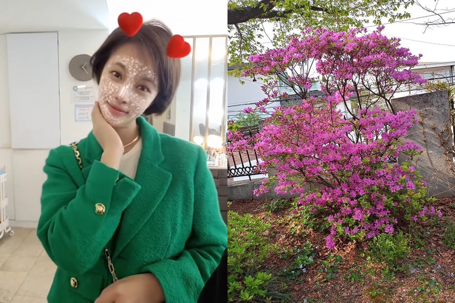 '싱글맘' 황정음, 제주 집 마당에 핀 꽃 자랑…보기만 해도 '힐링'