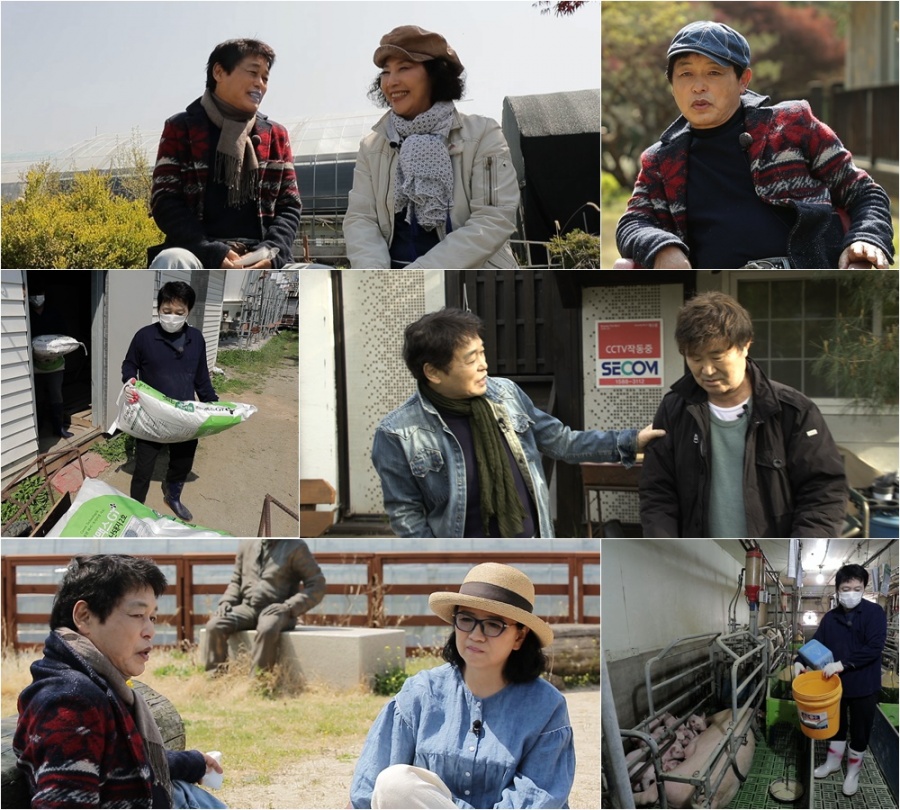 '일용이' 박은수, 충격적인 돼지농장 근황 "반성하고 싶다"('마이웨이')