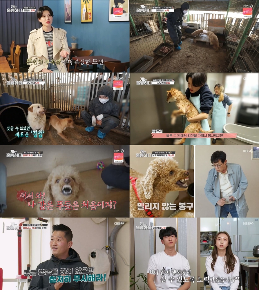 '개훌륭' 장도연, 용기 낸 유기견 봉사활동 "물릴지도 모른다는 두려움"[TV핫샷]
