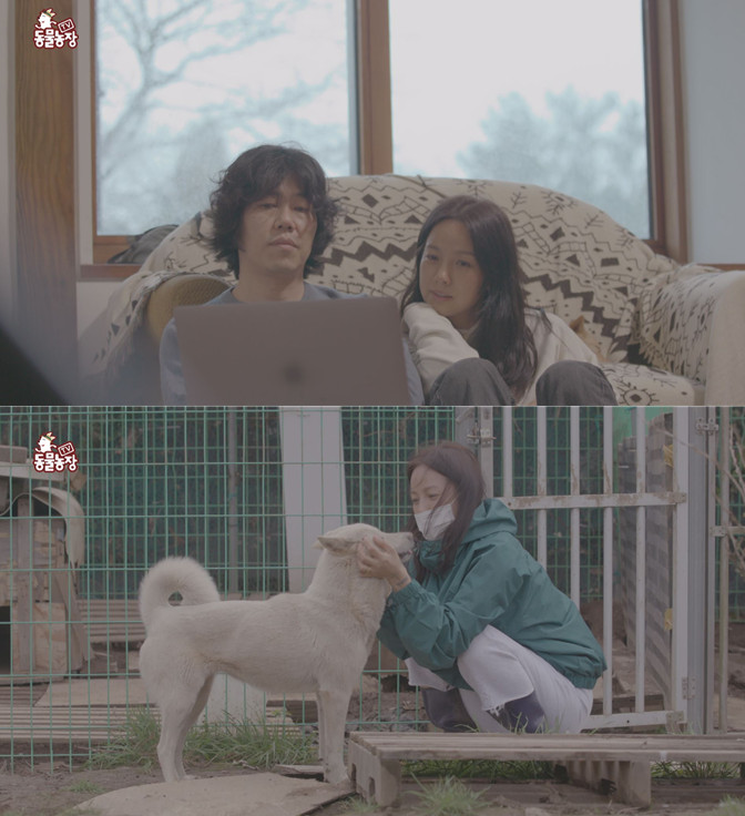 'TV동물농장' 이효리, 반려견 순심이와 이별 공개 "함께한 3647일 특별"
