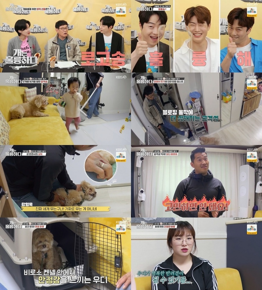 '개훌륭' 17개월 아기 공격하는 말티푸…강형욱, 단호한 대처[TV핫샷]