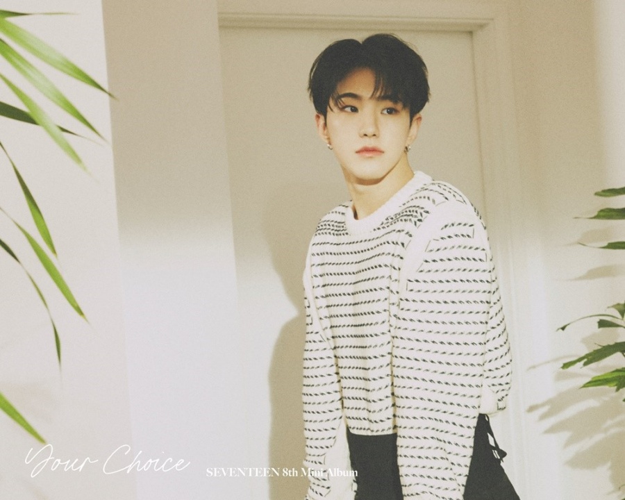 세븐틴 호시, 26번째 생일 기념 '1억원 기부'