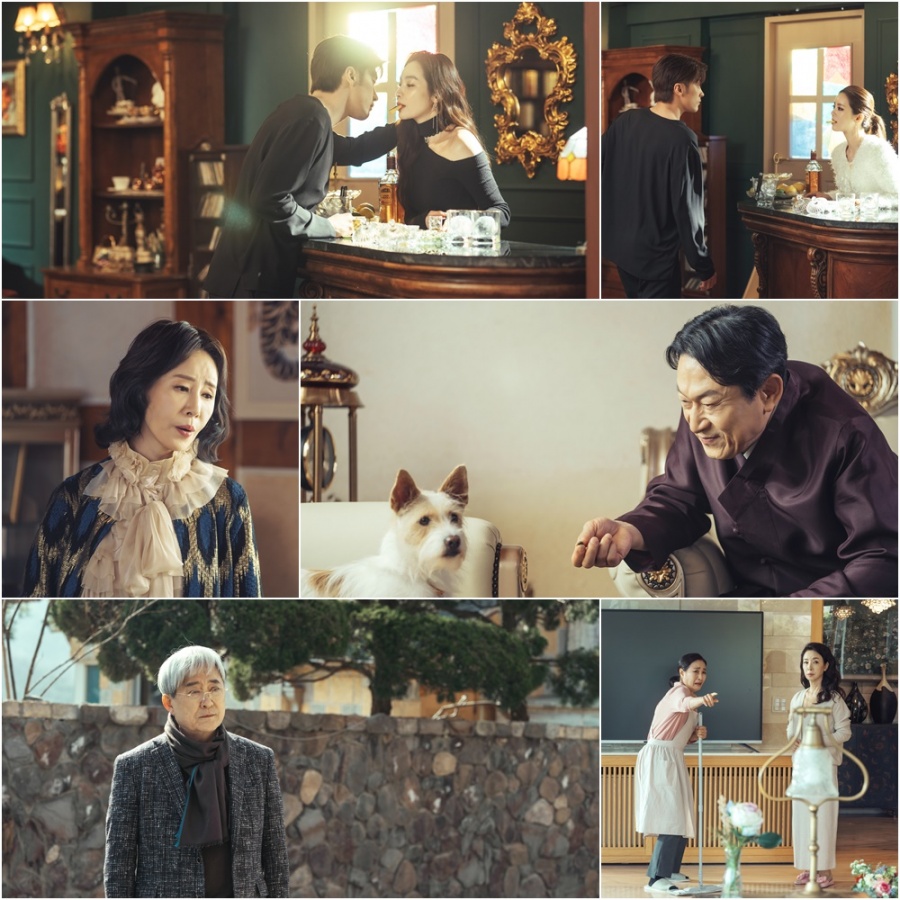 "임성한이 곧 장르" '결사곡2' 보고 또 본 시그니처 셋 #상상 #반려견 #혼령