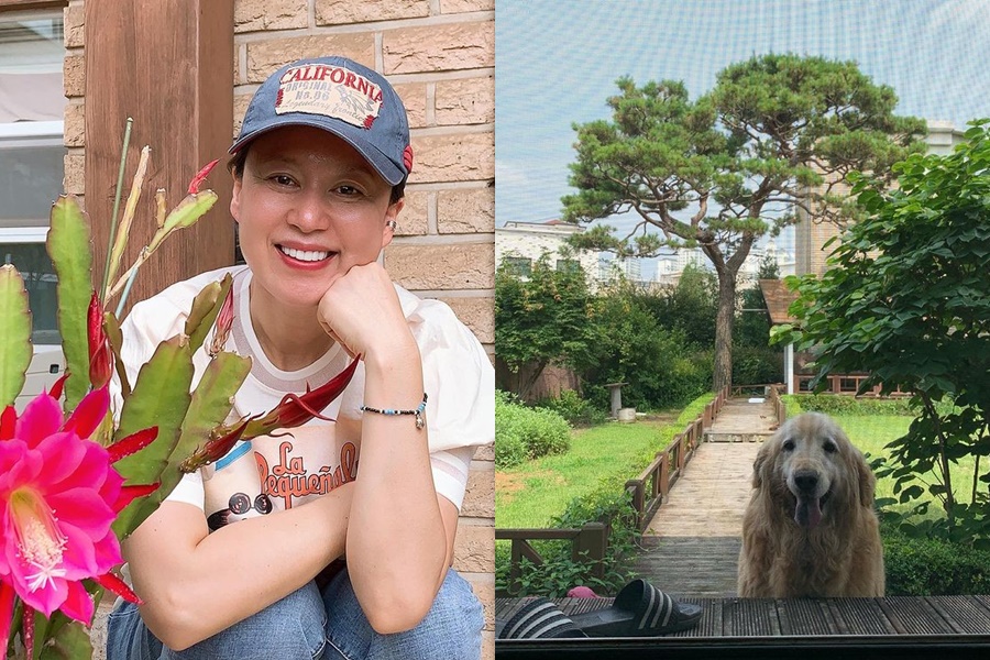 박미선, 으리으리 2층 단독주택 마당 풍경 자랑…"소나무 30년 넘어"