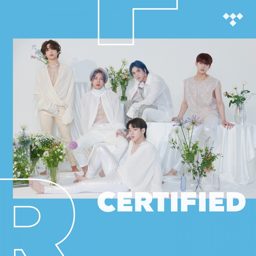에이스, 美 타이달 집중 조명…"계속 성장하는 미래지향적 가수"