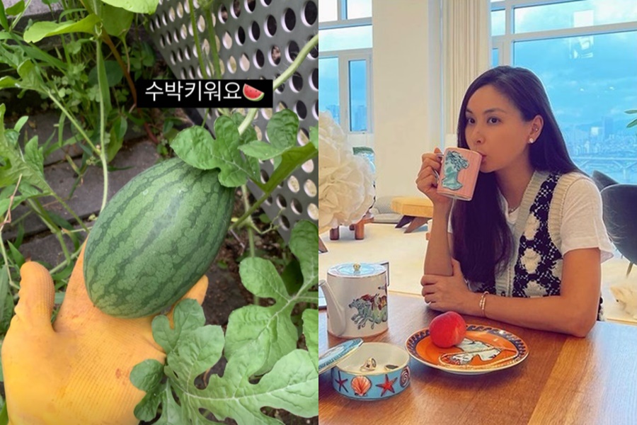 '장동건♥' 고소영, 163억 집서 애 둘 모자라 수박까지 키우나…클래스 남달라