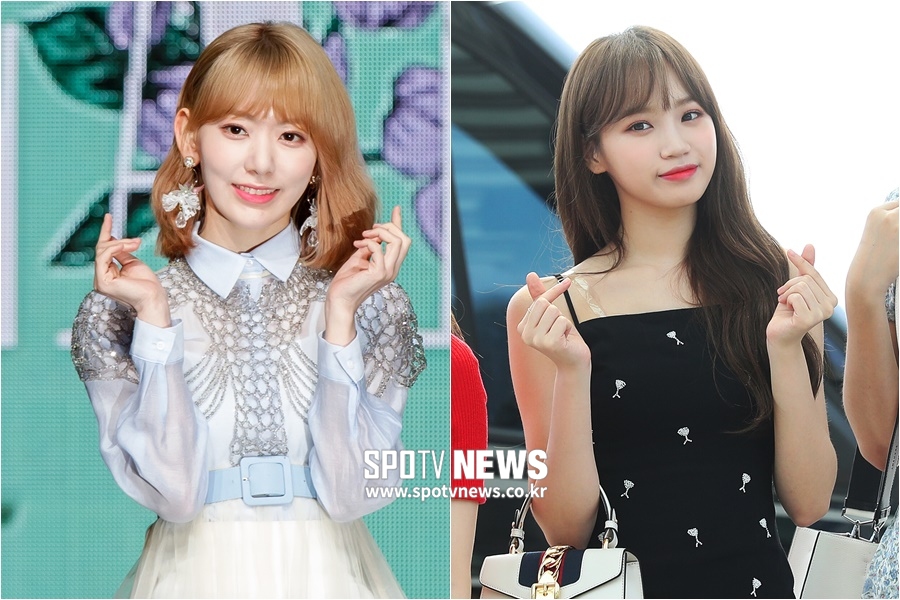 사쿠라 한국행‧김채원 이적…쏘스뮤직 새 걸그룹에 쏠리는 관심[이슈S]