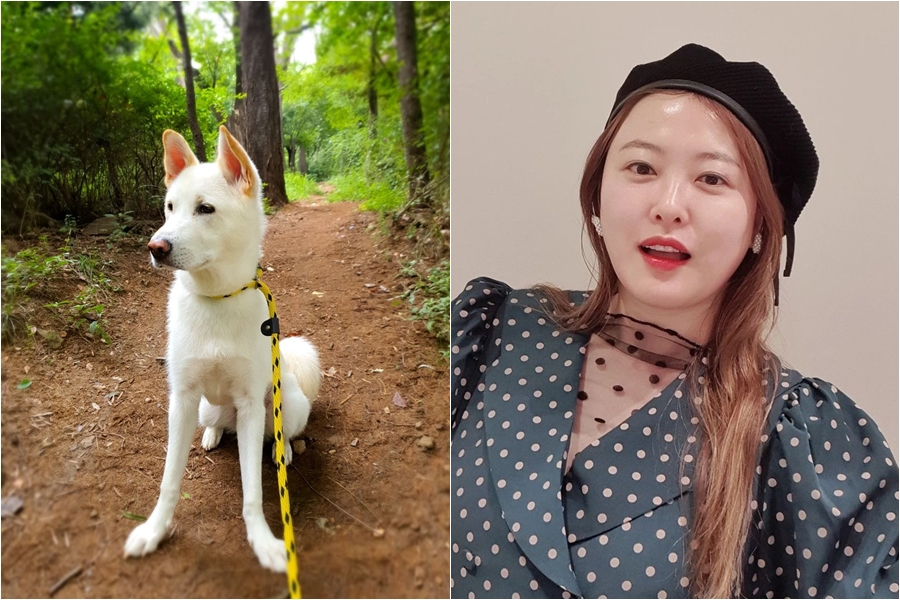 심진화, 김밥집 식중독 사과 3주만에 첫근황…"더 크게 책임감을"[전문]