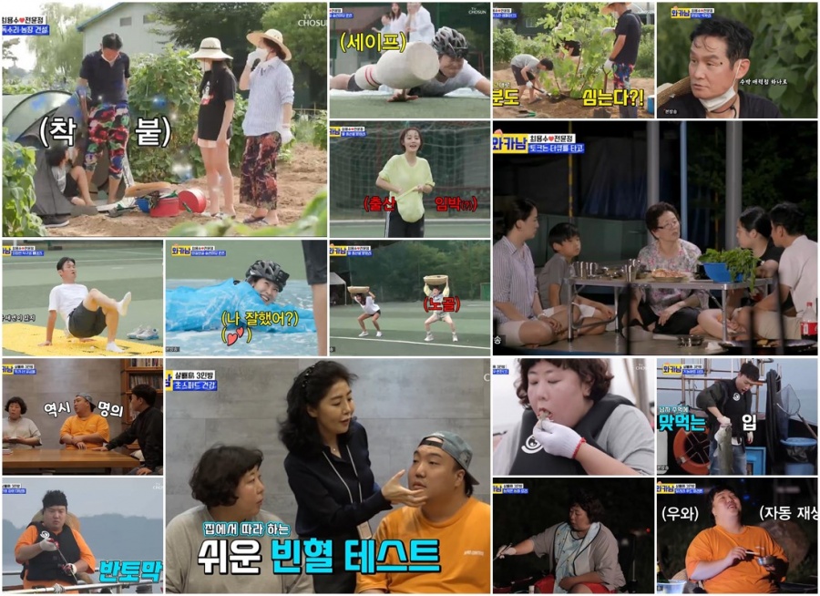 '와카남' 최용수 어머니, 임영웅 언급에 '찔레꽃' 완창…독수리 잡는 특급 활약